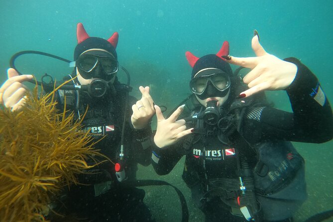 Jeju Island, Seongsan Ilchulbong, Discover Scuba Diving - Why Seongsan Ilchulbong looks different below the water