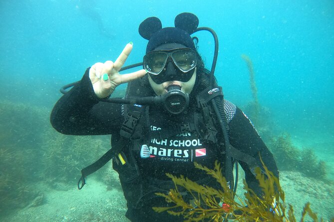 Jeju Island, Seongsan Ilchulbong, Discover Scuba Diving - Thirty minutes in Jeju’s underwater world