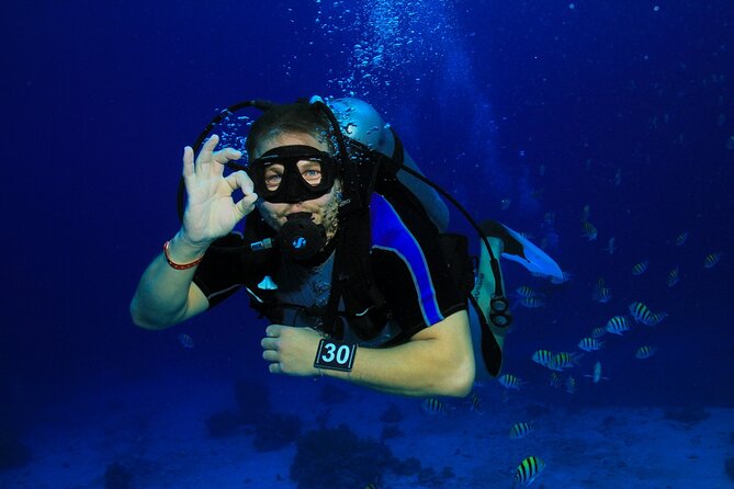 Join our Daily Diving Trip with 2 dives Transfer & Lunch-Hurghada - Two underwater sessions on Hurghada’s Red Sea