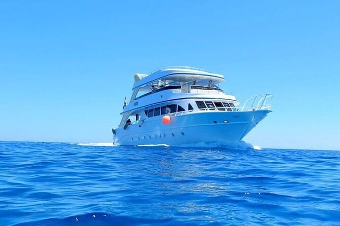 Join our Daily Diving Trip with 2 dives Transfer & Lunch-Hurghada - Coral, fish, and the quieter side of the sea