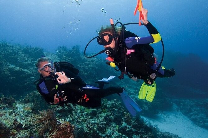 Join our Daily Diving Trip with 2 dives Transfer & Lunch-Hurghada - Lunch and the long boat interval