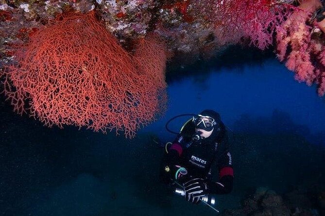 Journey of Diving or Snorkelling from a Boat - Aqaba from the water, not just the shore