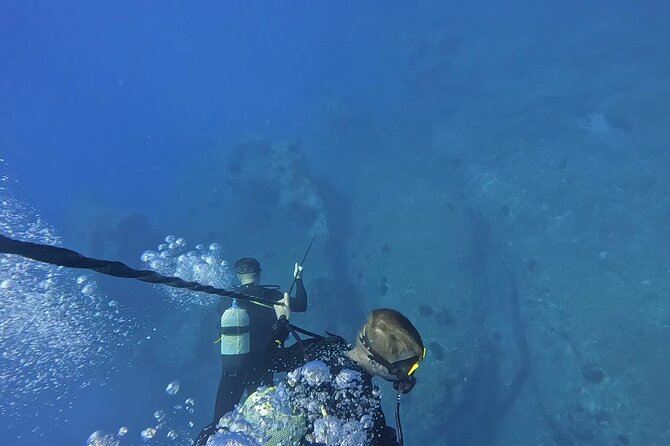 Jubilee Shoals guided boat dives - Two sessions from Barbossa