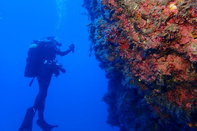 Jubilee Shoals guided boat dives - Is the depth range right for you?