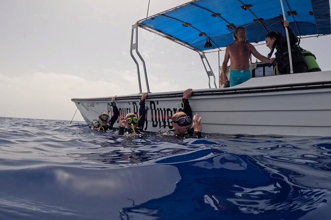 Jubilee Shoals guided boat dives - A small group, with a practical tradeoff
