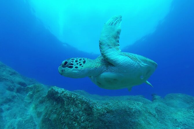 Jubilee Shoals guided boat dives - Timing, weather, and what to bring