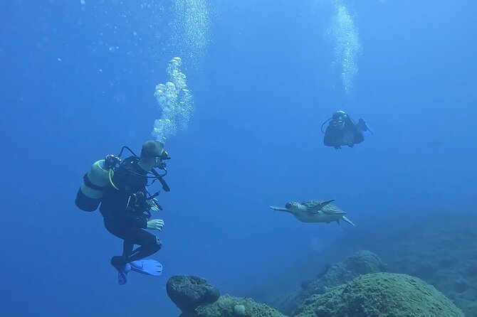 Jubilee Shoals guided boat dives - Leaving from Pissouri at 8:00 am