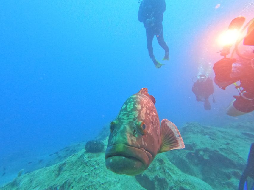 Kas: Scuba Diving Experience - Should you book the Kas scuba experience?