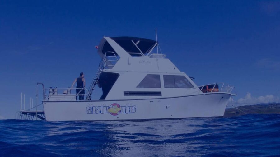 Kauai: Morning 2 Tank Boat Dive for Experienced Divers - What marine life you might see