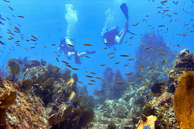 Kauai's Exclusive Morning Scuba Charter for Experienced Divers - Why this Kauai scuba charter is aimed at experienced people