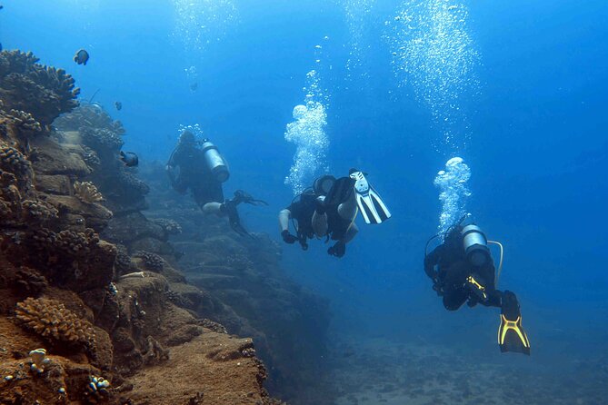 Kauai's Exclusive Morning Scuba Charter for Experienced Divers - Lava tubes, turtles, and Sheraton Caverns