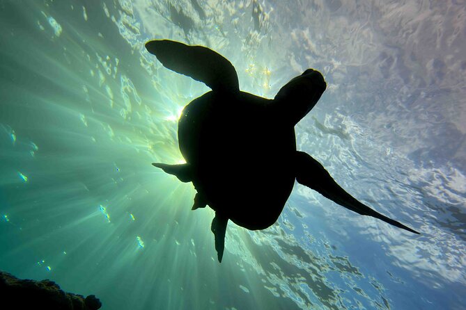 Kauai's Exclusive Morning Scuba Charter for Experienced Divers - Comforts that make the morning easier