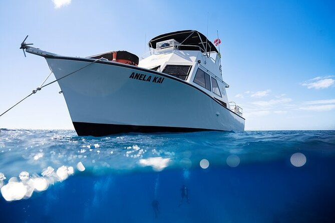Kauai's Exclusive Morning Scuba Charter for Experienced Divers - A 7:30 a.m. start from Poipu Road