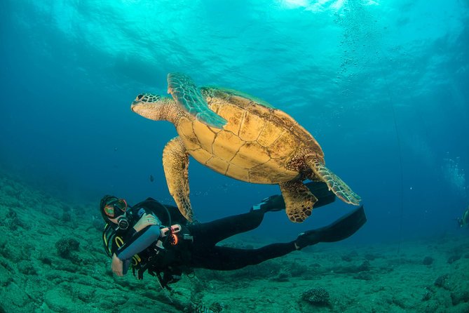 Kauai's Ultimate Discover Scuba Dive - OCEAN EXPERIENCE (1 Tank Dive) - What your two-and-a-half hours in Poipu look like