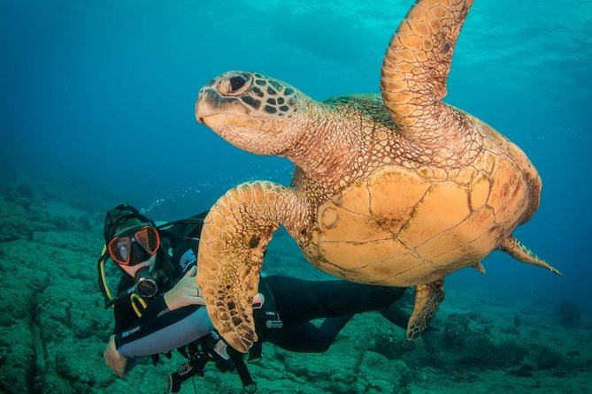 Kauai's Ultimate Discover Scuba Dive - OCEAN EXPERIENCE (1 Tank Dive) - Four basic skills before you head below the surface