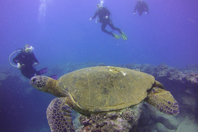 Kauai's Ultimate Discover Scuba Dive - OCEAN EXPERIENCE (1 Tank Dive) - How long will you actually stay underwater?