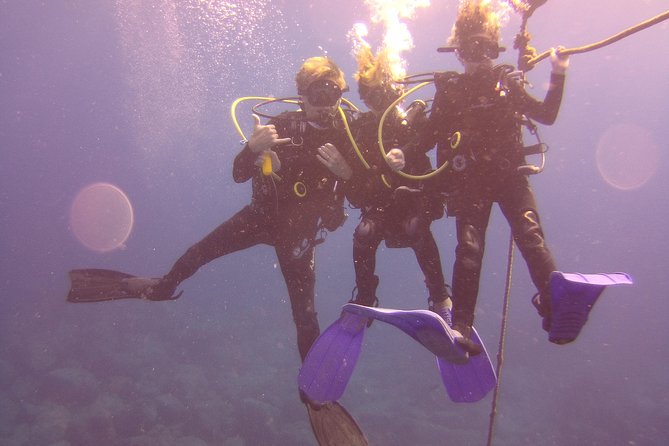 Kauai's Ultimate Discover Scuba Dive - OCEAN EXPERIENCE (1 Tank Dive) - Equipment, snacks, and what is included