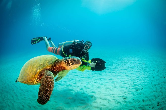 Kauai's Ultimate Scooter Adventure 2 Tank Dive (Advance Certified Divers Only) - Two tanks, two chances to explore