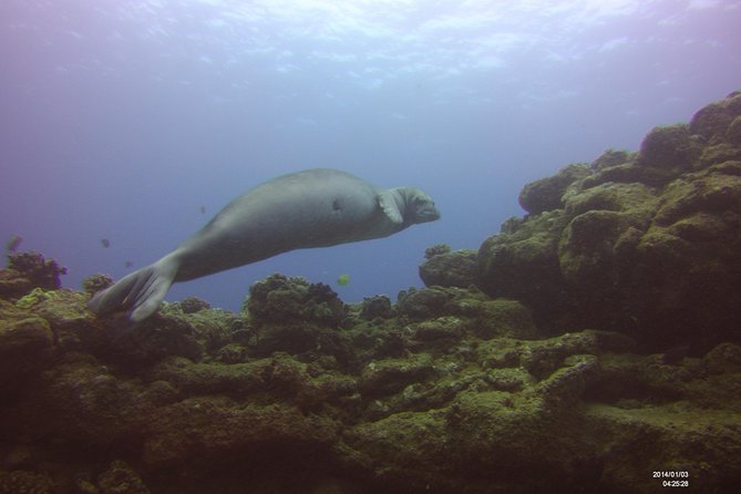Kauai's Ultimate Scooter Adventure 2 Tank Dive (Advance Certified Divers Only) - Sheraton Caverns and the underwater route