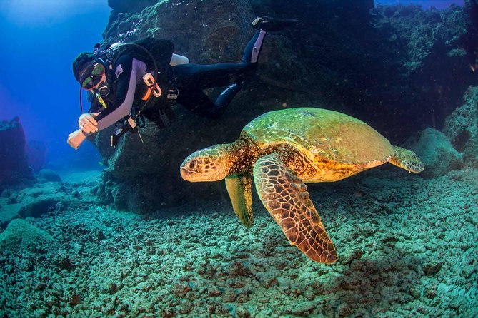 Kauai's Ultimate South Shore 2 Tank Dive (Certified Divers Only) - What the $210.92 price includes