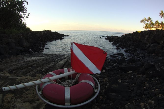 Kauai's Ultimate South Shore 2 Tank Dive (Certified Divers Only) - Who will enjoy this most
