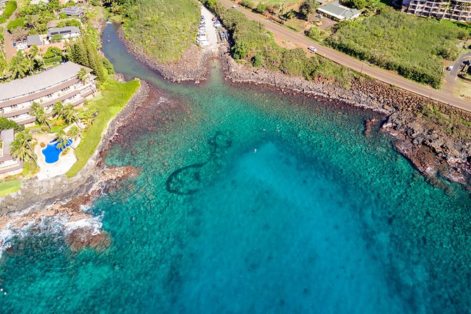 Kauai's Ultimate South Shore 2 Tank Dive (Certified Divers Only) - Should you book this Kauai shore excursion?