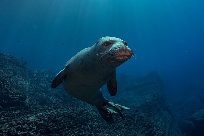 Kauai Scuba Diving for Beginners - How the instructors shape the experience