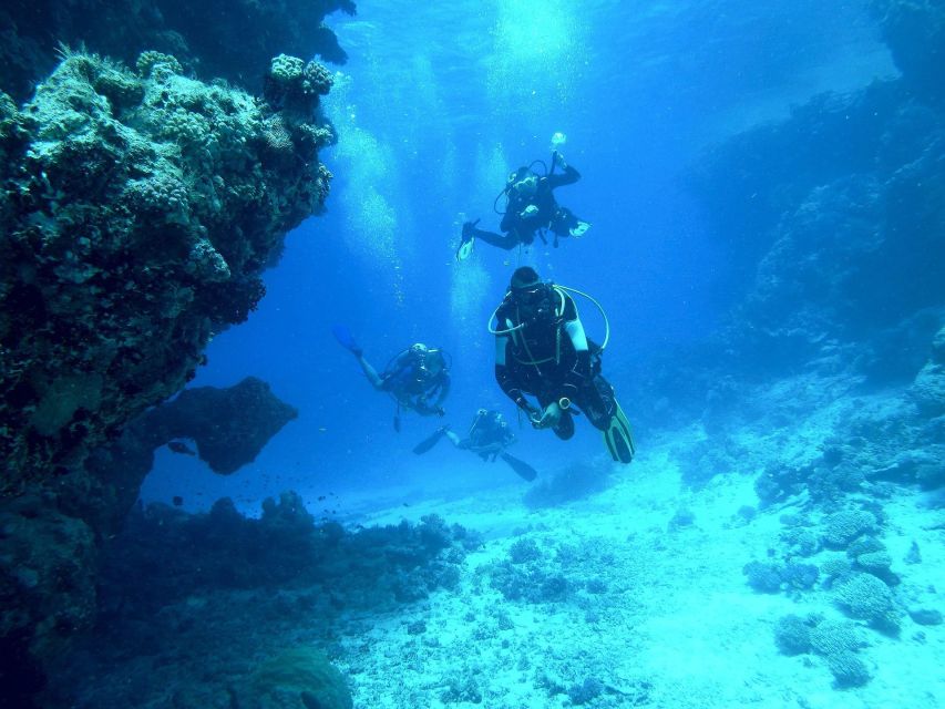 Kefalonia: Beginner Scuba Diving at Agia Efimia Village - Should you book it?