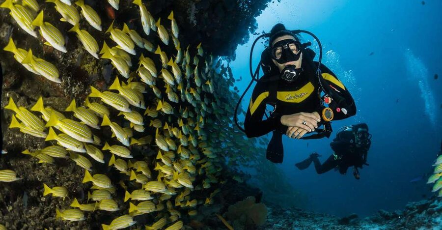 Kefalonia: Beginner Scuba Diving at Agia Efimia Village - Starting in Agia Efimia with the basics