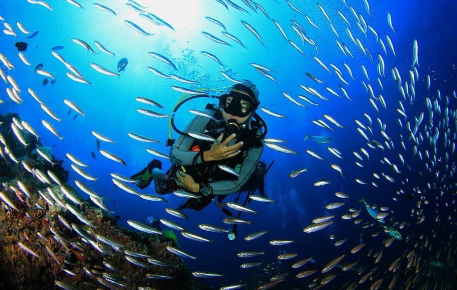 Kefalonia: Beginner Scuba Diving at Agia Efimia Village - What the first descent feels like