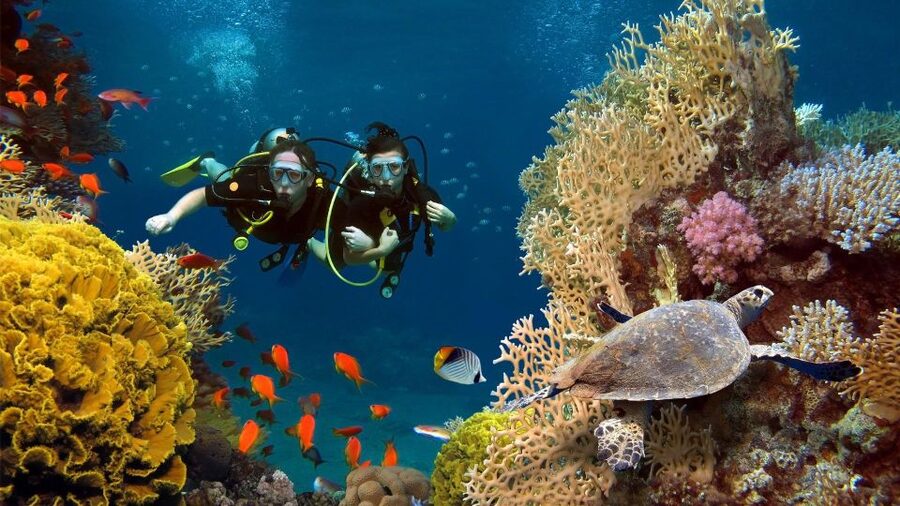 Kefalonia: Beginner Scuba Diving at Agia Efimia Village - The value of $141 per person