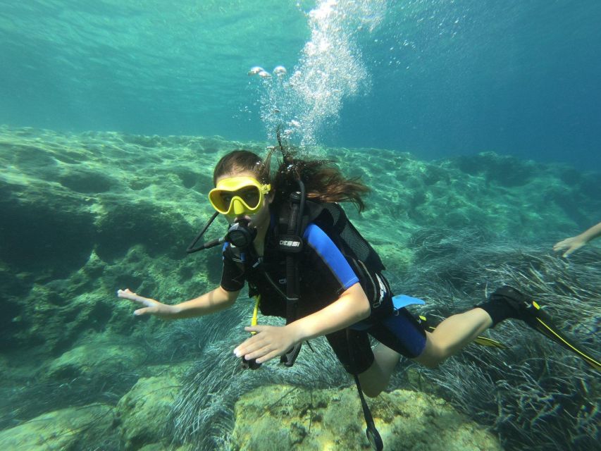 Kefalonia: Beginner Scuba Diving at Agia Efimia Village - Who should book this Agia Efimia activity