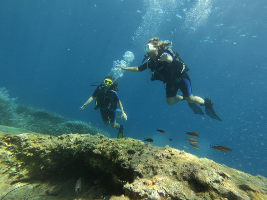 Kefalonia: Beginner Scuba Diving at Agia Efimia Village - Practical timing for your Kefalonia itinerary