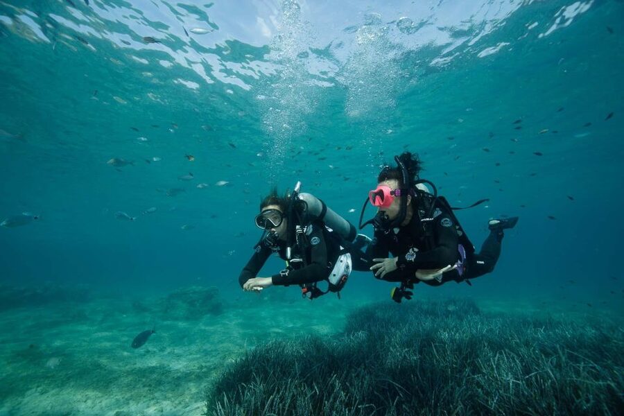 Kefalonia: Beginner Scuba Diving at Agia Efimia Village - Why the four-person limit matters