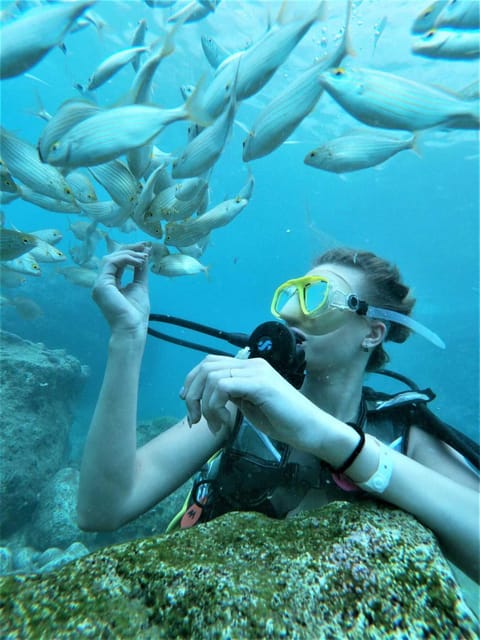 Kemer: Scuba Diving Experience in Aquarium and Kiris Bays - Key points at a glance