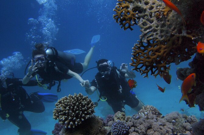 Kemer Scuba Diving Experience: Two Dives with Lunch - Who will enjoy this Kemer boat day