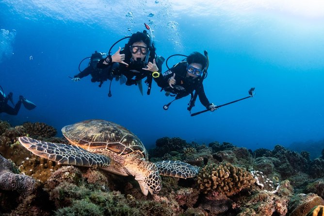 Kenting, Taiwan|PADI Basic Diving License Course|Taiwan Diving Open Water Course - Equipment, computers, and the buoyancy bag