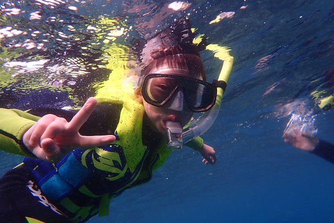 Kenting, Taiwan|Snorkeling Free underwater photography One-on-one with instructor|Taiwan Diving Snorkeling - What you may see below the surface