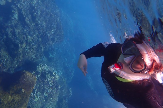 Kenting, Taiwan|Snorkeling Free underwater photography One-on-one with instructor|Taiwan Diving Snorkeling - The price and what you get for $28