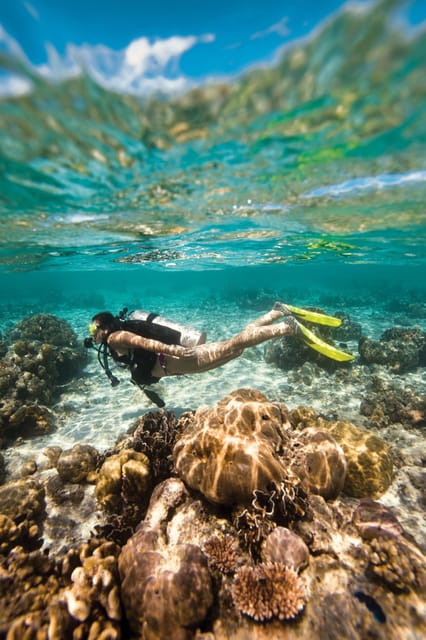 Key Largo: Molasses Reef Novice to Intermediate Dive - What your four-hour charter includes