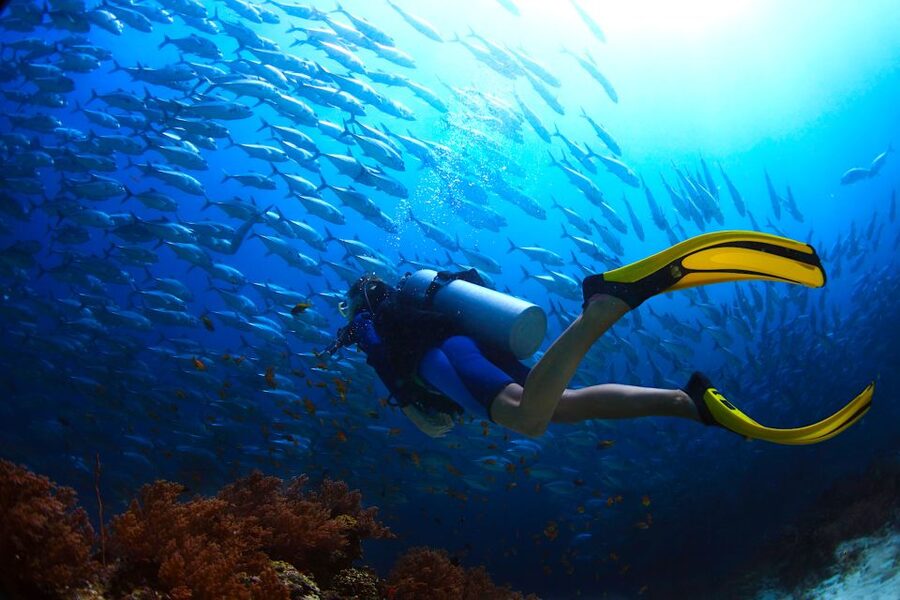 Ko Tao: Try Scuba Diving 1-Day Experience - From beach practice to the custom boat
