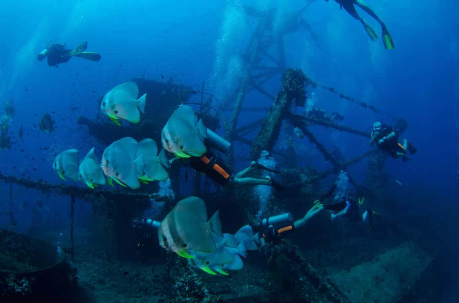 Koh Chang: 1-Day Dive Trip to Top Underwater Sites - Key points to know before booking
