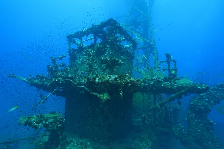 Koh Chang: 1-Day Dive Trip to Top Underwater Sites - Choosing between the HTMS Chang wreck and Koh Rang