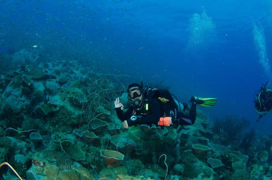 Koh Chang: 3-Day PADI Open Water Scuba Dive Course - Key points before you book