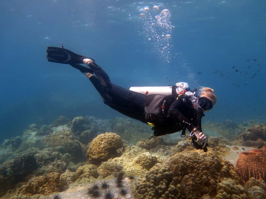 Koh Chang: 3-Day PADI Open Water Scuba Dive Course - Day one: theory review and your first pool session