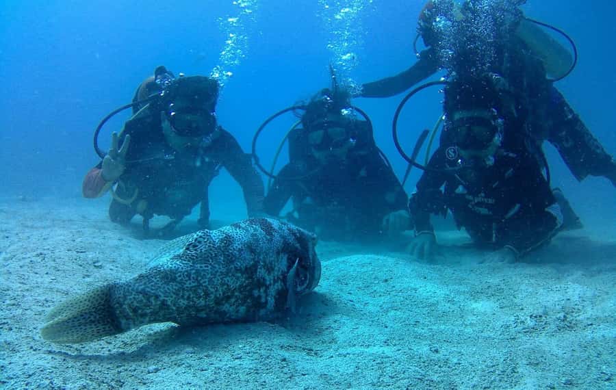 Koh Chang: Discover Scuba Diving for Beginners with 2 Dives - The boat ride home and the real length of the day