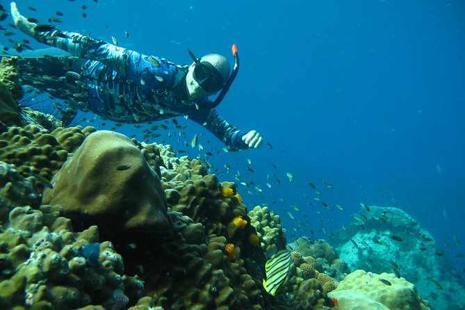 Koh Chang Freedive Trip ( Start at Koh Chang) - How the boat setup affects your day