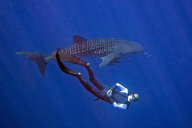 Koh Chang Freedive Trip ( Start at Koh Chang) - Koh Rang National Park adds a second kind of setting