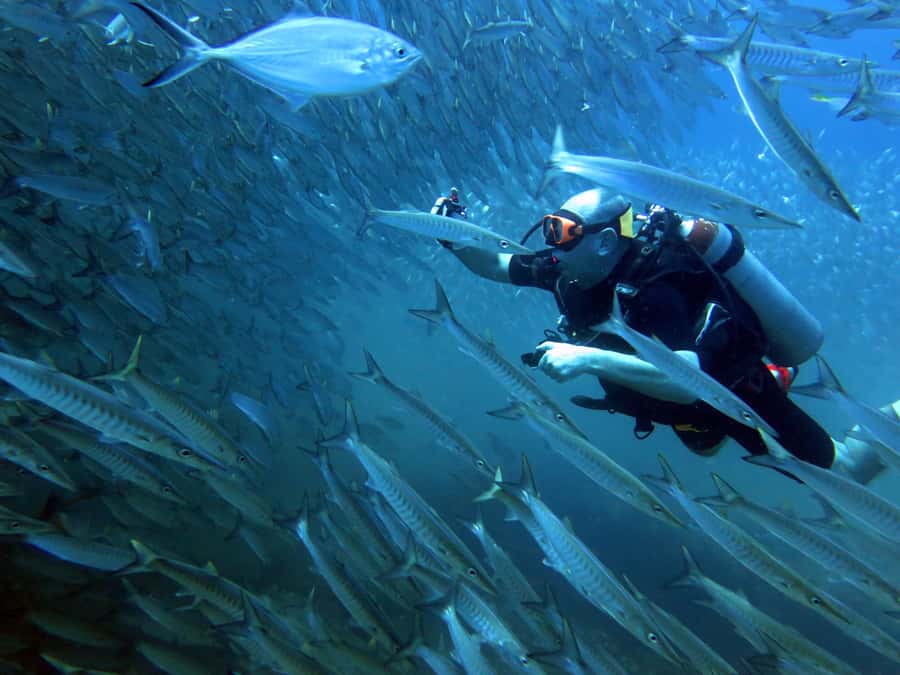 Koh Kood: Discover Scuba Diving for Beginners with 2 Dives - Learning the basics before entering deeper water