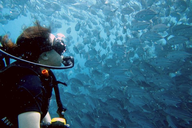 Koh Samui 2-Dive Trip to Sail Rock for certified divers - A clear morning start from Bophut